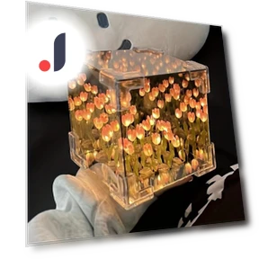 Tulip Night Light Kit — Night Lights, JR-Studio