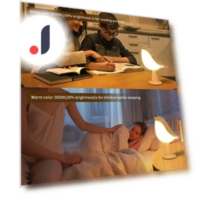 LED Touch Night Light — Night Lights, AE Selection