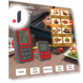 Smart Food Meat Thermometer Digital Wireless with Dual Probes — Thermometers, Build My Home
