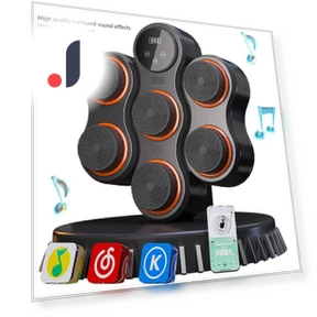 Smart Musical Boxing Trainer — Boxing Training Gear, GYROBALL