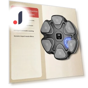 Smart Musical Boxing Trainer — Boxing Training Gear, Crowner