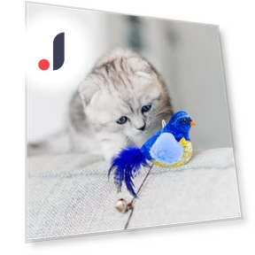 Squeaky Bird Cat Toy — Cat Playthings, Love DIY