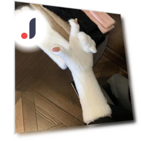 Winter Gloves — Gloves, TYU01