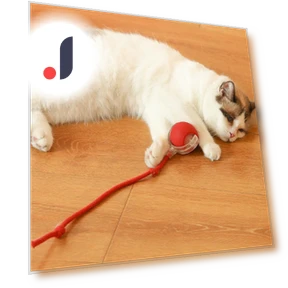 Automatic Rolling Ball Pet Toy with Artificial Tail — Cat Playthings, Optimized General