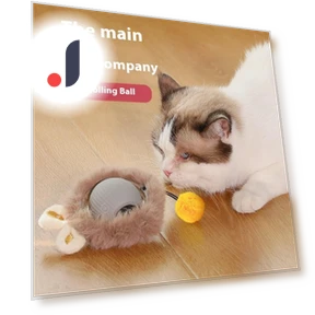 Automatic Rotating Cat Toy with USB Rechargeable Function — Cat Playthings, Sunnyway