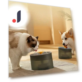 Automatic Water Dispenser for Pets — Feeding Supplies, Pet family bucket