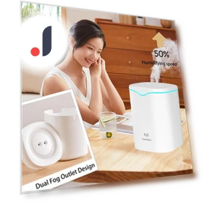 Double Air Humidifier with Spray — Air Moisturizers, Leisury