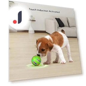 Interactive Dog Ball Toy — Balls, Love Pet House