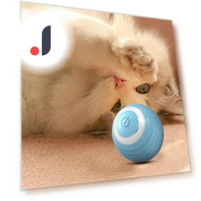 Interactive LED Cat Toy Ball — Cat Playthings, Optimized General