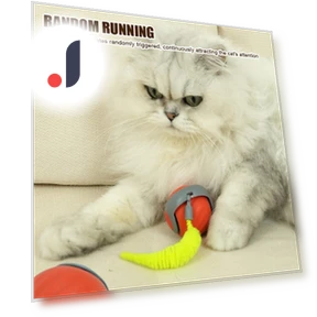 Interactive Pet Toy Ball — Automatic Launchers, key to knowledge