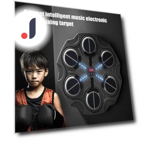 Music Boxing Target with Light Effect — Boxing Training Gear, ZTTO