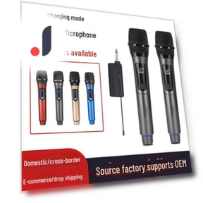 Wireless Rechargeable Microphone for Karaoke and Outdoor Singing — Sing-Along Systems, Smarter than future