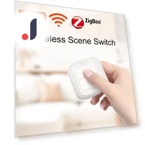2 Gang Wireless Remote Control Switch — Smart Home Hubs & Controllers, HIMO Group