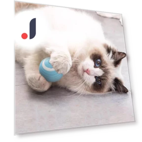 Automatic Rolling Ball for Cats — Cat Playthings, Simplistic Living Home