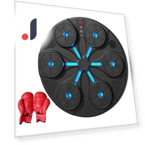 Smart Musical Boxing Trainer with Gloves — Boxing Training Gear, Build My Home