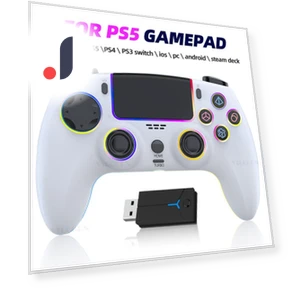 Wireless Gaming Controller — Accessories, VILCORN