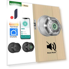 Electronic Smart Lock with Fingerprint — Smart Home Security, Super Dream Home