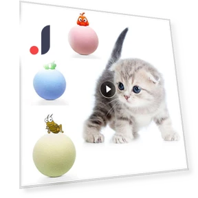Interactive Smart Ball for Cats — Cat Playthings, Simplistic Living Home