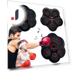 Smart Music Boxing Trainer — Boxing Training Gear, GYROBALL