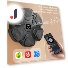 Smart Musical Boxing Trainer — Boxing Training Gear, Wrigleys