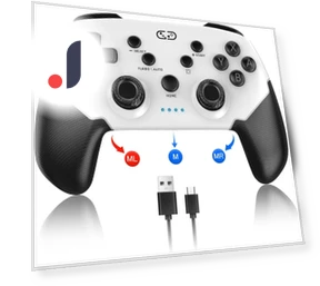 Wireless Controller for Switch/Lite/OLED — Gaming Controllers, Super Dream Home