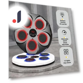 Bluetooth Boxing Training System with Gloves — Boxing Training Gear, CAR SHOW