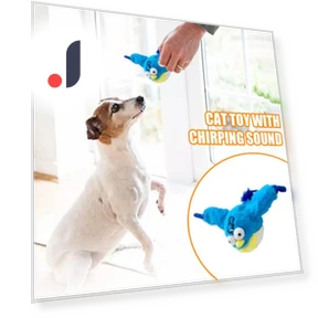 Interactive Chirping Bird Toy for Cats — Cat Playthings, All in Watch
