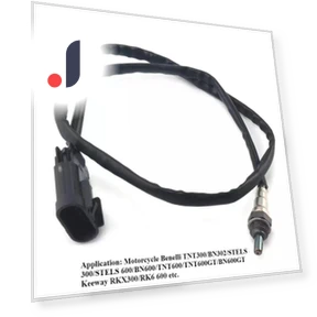 Oxygen Sensor — Exhaust Gas, Forest Sunshine Home