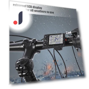 Waterproof LCD Display with Control Panel for Electric Scooter — Display Modules, Super Dream Home
