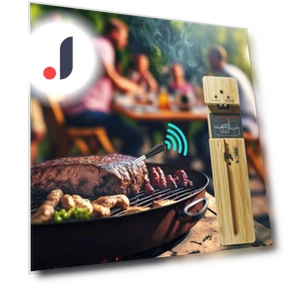 Wireless Meat Thermometer with Bluetooth — Thermometers, DYS Kitchen