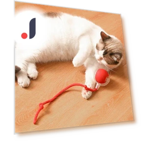 Interactive Cat Toy Ball — Cat Playthings, Shanylty