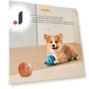 LED Pet Rolling Ball — Balls, Health Care For U