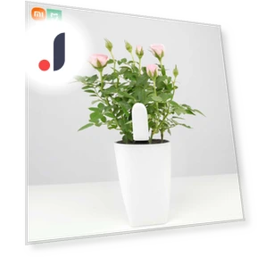 Smart Monitor — Pregnancy Health Monitors, Xiaomi