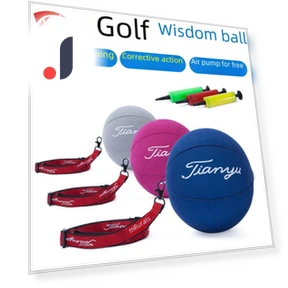 Smart Golf Swing Trainer Hand Corrector — Strength Trainers, EchoMart