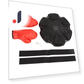 Smart Musical Boxing Trainer — Boxing Training Gear, Wosawe outdoor sports