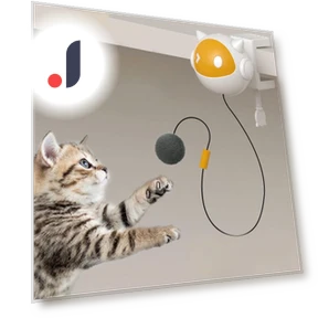 Automatic Lift Ball for Cats — Cat Playthings, ZJM Mall