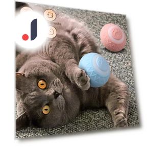 Automatic Rolling Ball — Cat Playthings, grocercollect