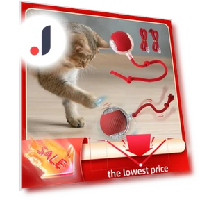 Interactive Pet Toy Ball — Cat Playthings, JINGYUE Pet