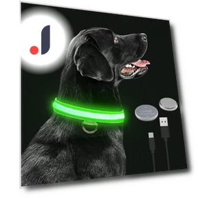 LED Glowing Dog Collar — Collars, Smart Pet Supplies