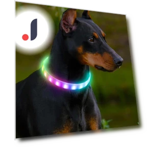 Lightweight USB Dog Collar — Collars, Smart Pet Supplies
