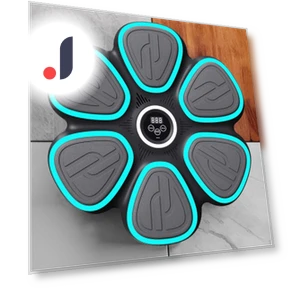 Smart Music Boxing Trainer — Boxing Training Gear, SunshineTek