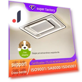 Ceiling LED Light — LED, WoW Home