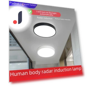 Ceiling Light with Voice Sensor — Smart Home Modules, WoW Home