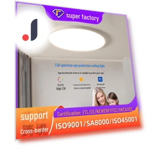 Modern Smart Ceiling Light with Full Eye Protection — Overhead Lighting, WoW Home