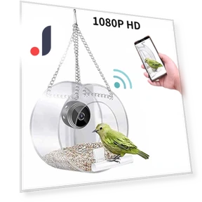 Smart Bird House Feeder with Camera — Backyard Birding, Pig Boutique