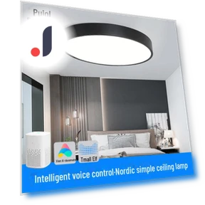 Smart LED Ceiling Light — Overhead Lighting, WoW Home