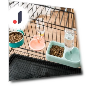 Automatic Water Dispenser for Pets — Feeding Supplies, Smart Pet Supplies