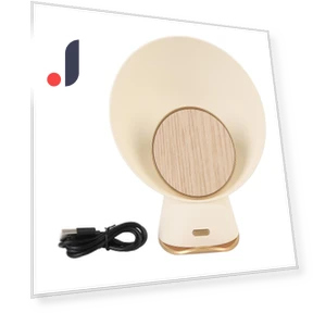 Bluetooth Speaker with Phone Charger — Accessory Kits, DIYelecs