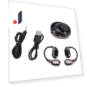 Bluetooth Translator Earbuds — Language Translators, DIYelecs