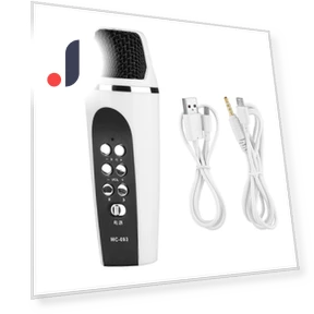 Mini 4-Mode Voice Changer Microphone — Spy Gadgets, OutsideWorld